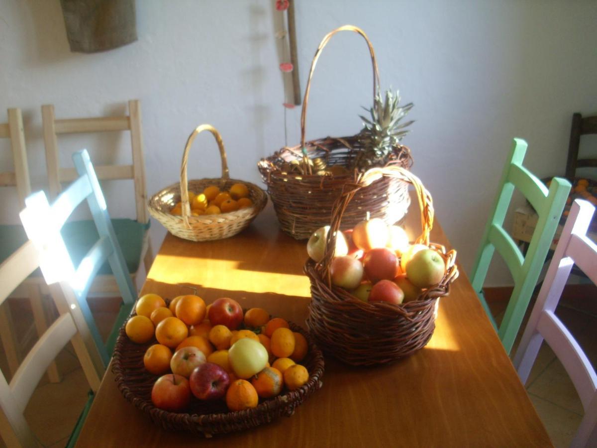 Pania Forata Hostel Стаццема Екстер'єр фото